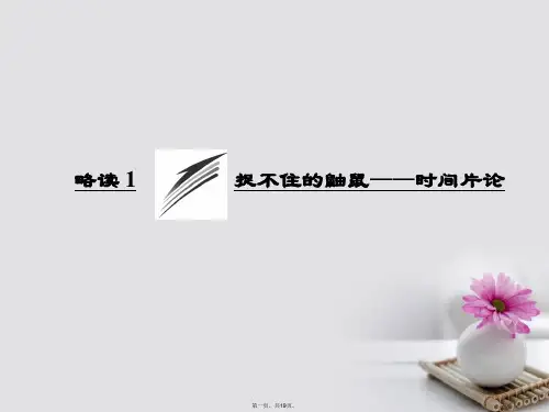 高中语文散文部分第二单元略读1捉不住的鼬鼠时间片论课件新人教版选修《中国现代诗歌散文欣赏》