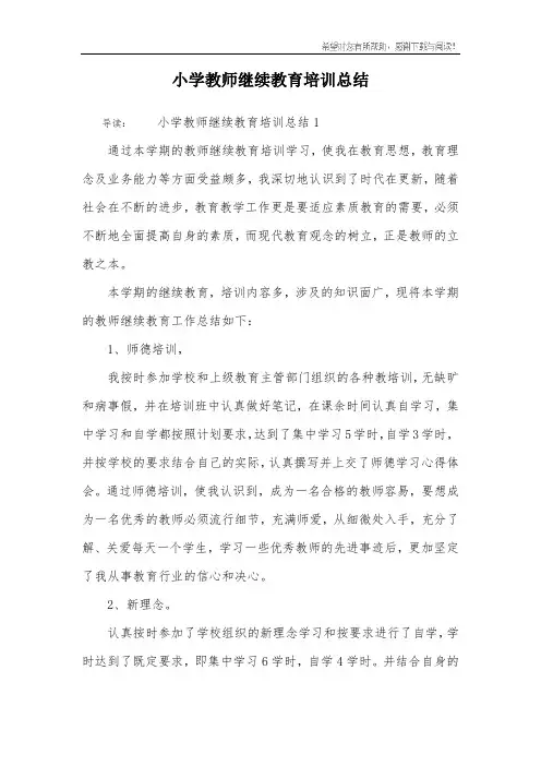 小学教师继续教育培训总结