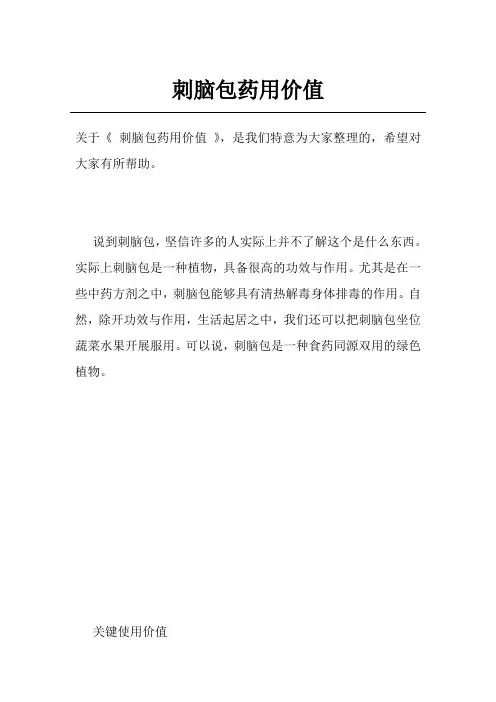 刺脑包药用价值