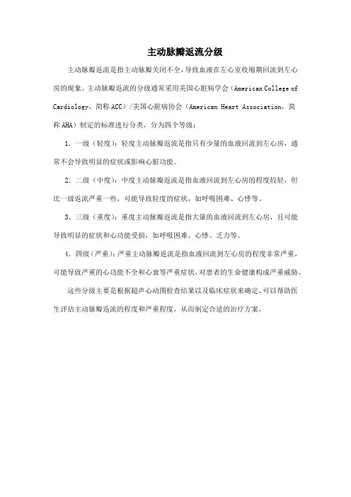 主动脉瓣返流分级