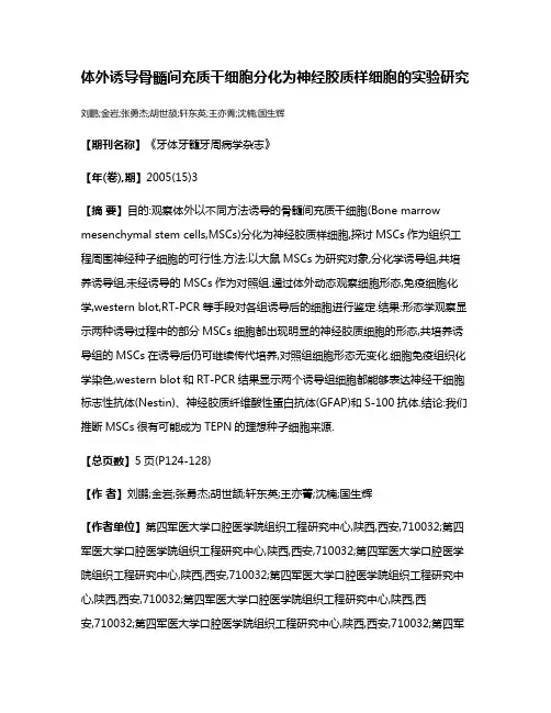 体外诱导骨髓间充质干细胞分化为神经胶质样细胞的实验研究