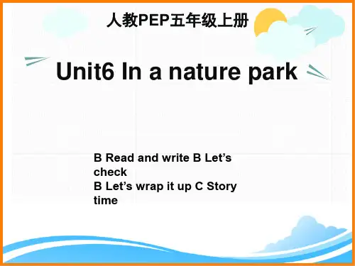 人教PEP版五年级英语上册《Unit6_B_Read_and_write名师精品课件》