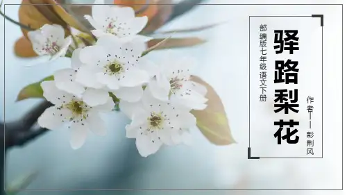 部编版七年级下册语文《驿路梨花》说课教学PPT电子课件