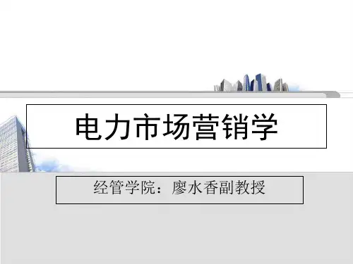电力市场营销学第一章PPT讲义资料