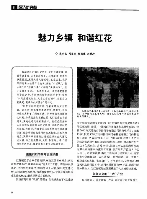魅力乡镇 和谐红花