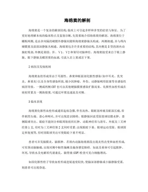 海绵窦血栓形成