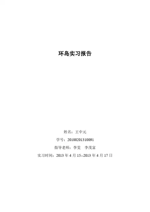 环岛实习报告