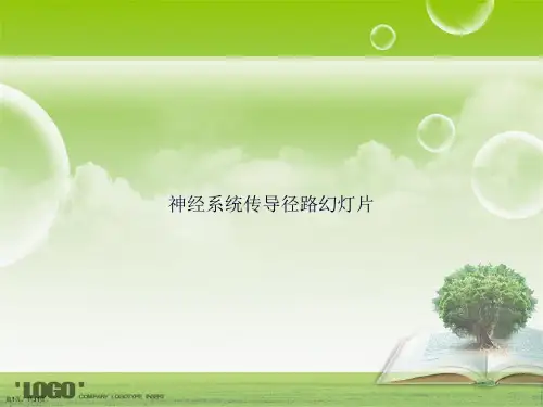 神经系统传导径路幻灯片讲课文档