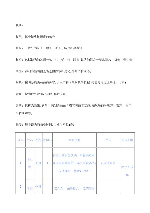 分镜头剧本参考格式