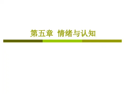 《情绪心理学》第5章-情绪与认知 课件ppt