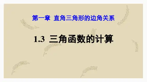 北师大版九年级数学下册 (三角函数的计算)直角三角形的边角关系教育教学课件