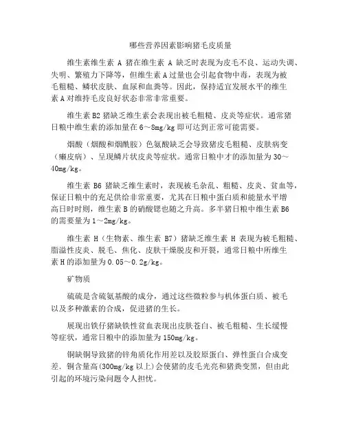 哪些营养因素影响猪毛皮质量