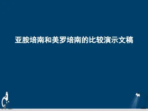 亚胺培南和美罗培南的比较演示文稿