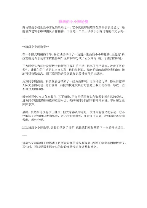 班级的小小辩论赛