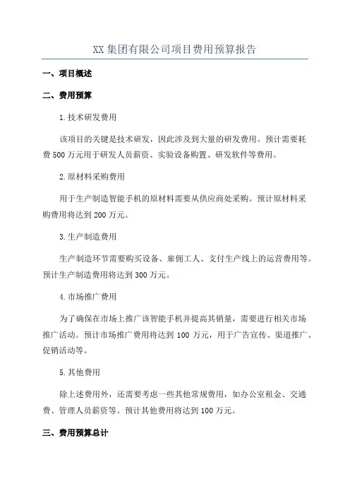 XX集团有限公司项目费用预算报告