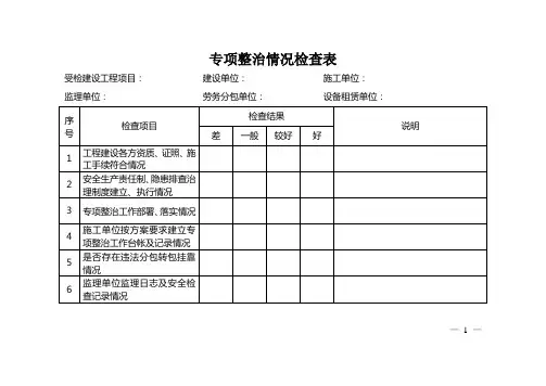 专项整治情况检查表【模板】