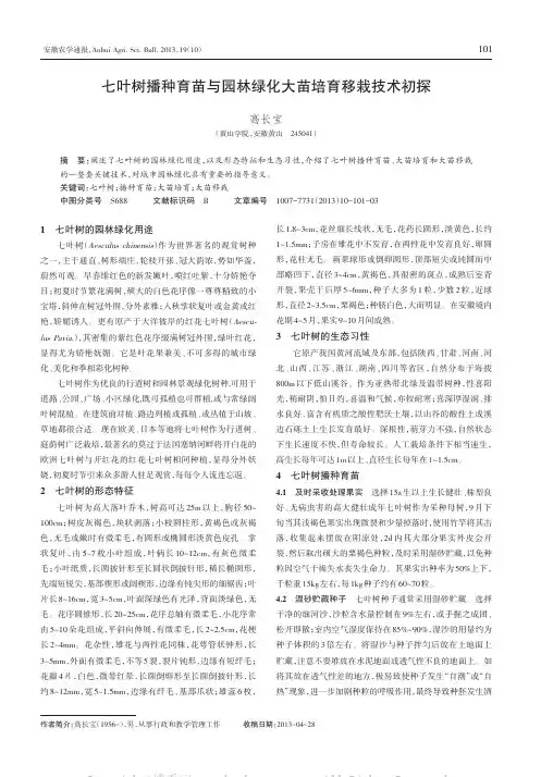 七叶树播种育苗与园林绿化大苗培育移栽技术初探