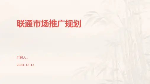 联通市场推广规划