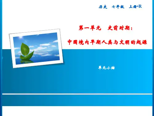 人教版历史 七年级 上册  第1单元  中国境内早期人类与文明的起源 小结