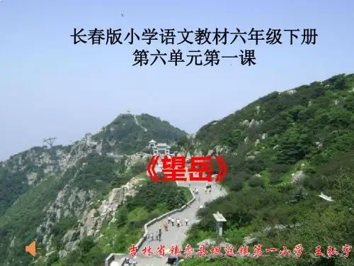 望岳课件
