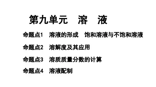 2024长沙中考化学一轮复习 第九单元 溶液(课件)