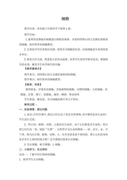 青岛版六年级科学下册《细胞》教案