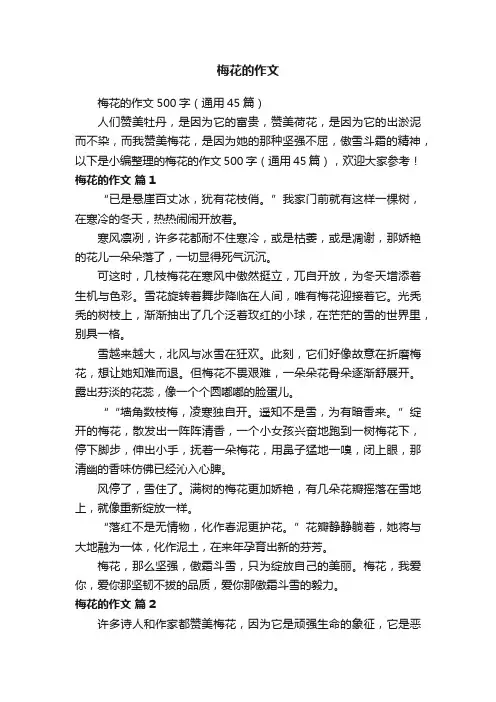梅花的作文500字（通用45篇）