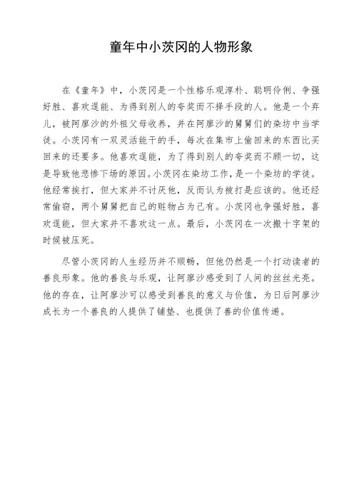 童年中小茨冈的人物形象