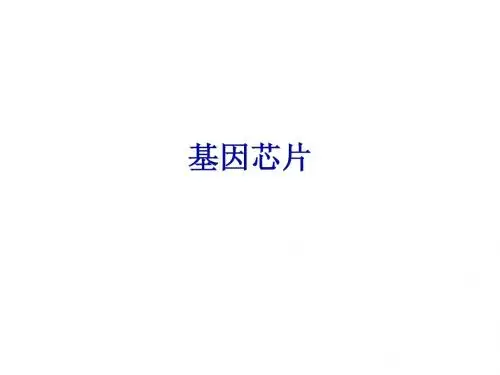 基因芯片