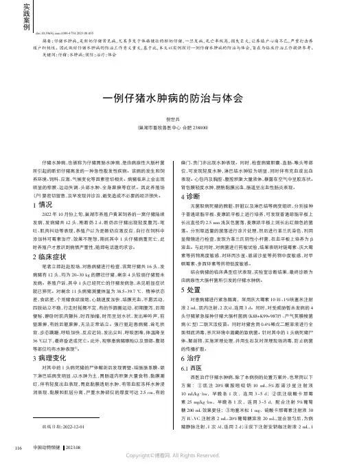 一例仔猪水肿病的防治与体会