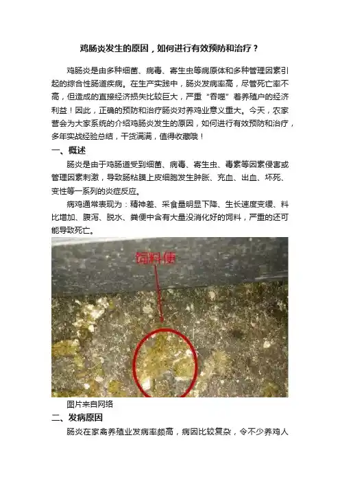 鸡肠炎发生的原因，如何进行有效预防和治疗？