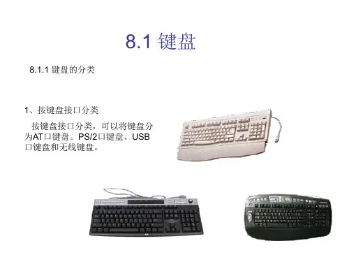 课件输入设备PPT课件