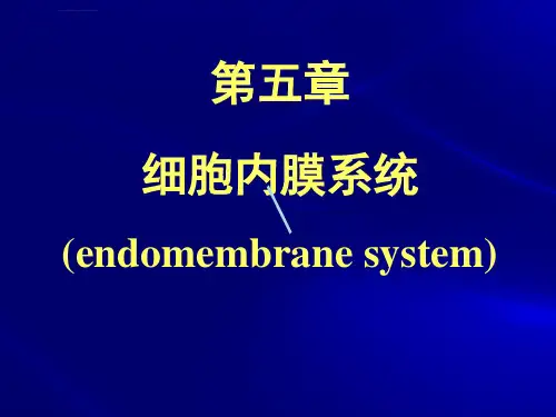 细胞内膜系统课件