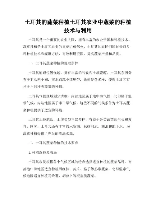 土耳其的蔬菜种植土耳其农业中蔬菜的种植技术与利用