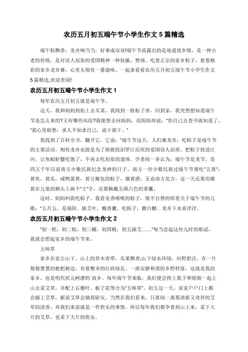 农历五月初五端午节小学生作文5篇精选