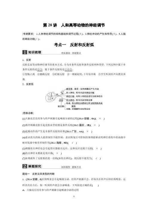 2016届高考生物大一轮总复习 第八单元 生命活动的调节 第28讲 人和高等动物的神经调节