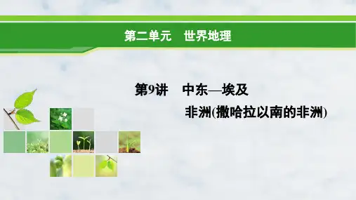 高三地理复习精品课件17：5.2中东—埃及 非洲(撒哈拉以南的非洲)
