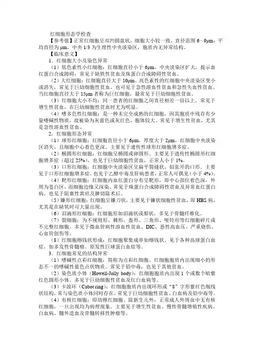 2021临床医学 血细胞形态检查