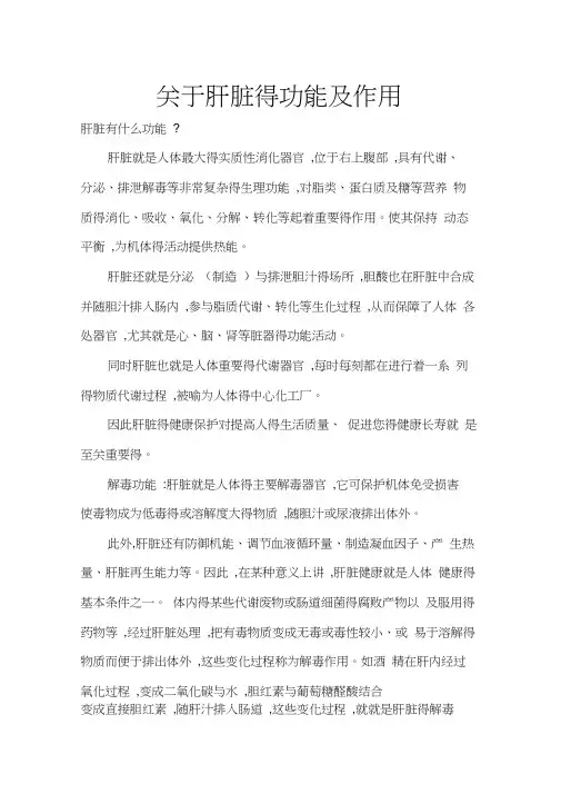 关于肝脏的功能及作用