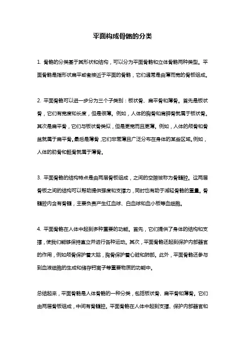 平面构成骨骼的分类