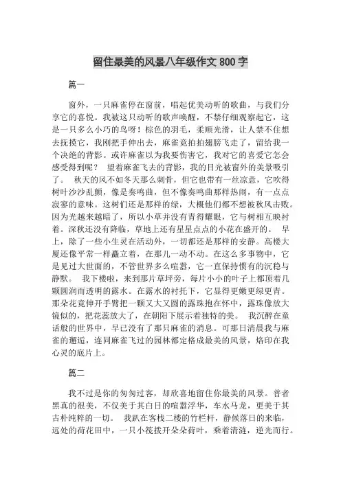 留住最美的风景八年级作文800字