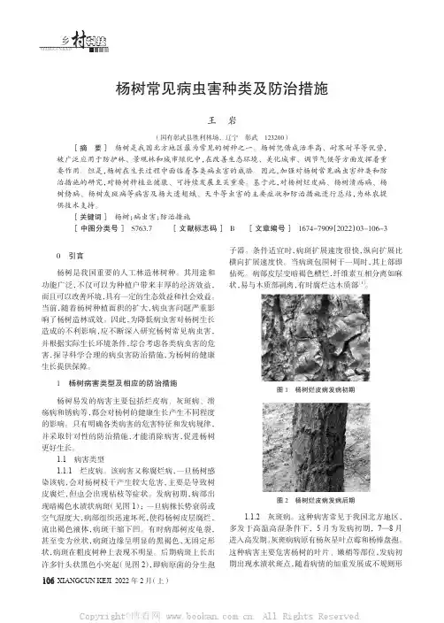 杨树常见病虫害种类及防治措施