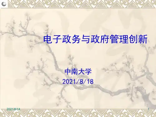 第2章-中国电子政务的发展阶段