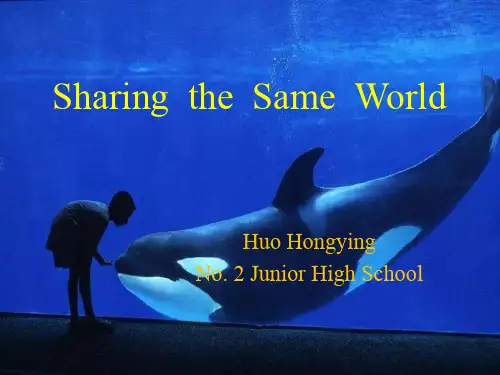 英语仁爱版八年级上册《Unit 4 Our World Topic 1 What's the 》课件公开课 (3)