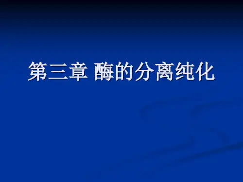 酶的分离纯化