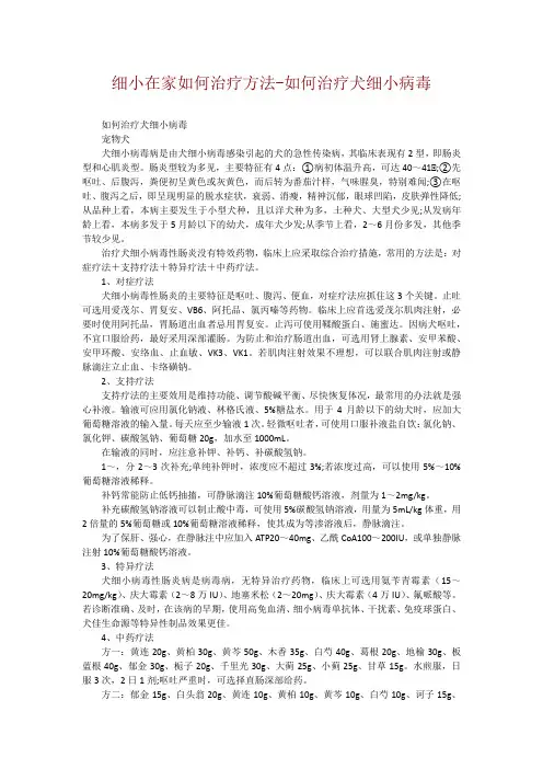细小在家如何治疗方法-如何治疗犬细小病毒