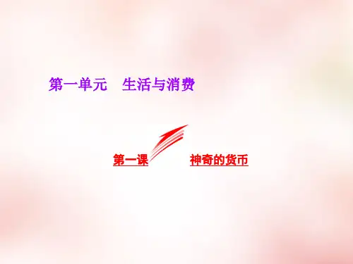 第1课《神奇的货币》ppt课件