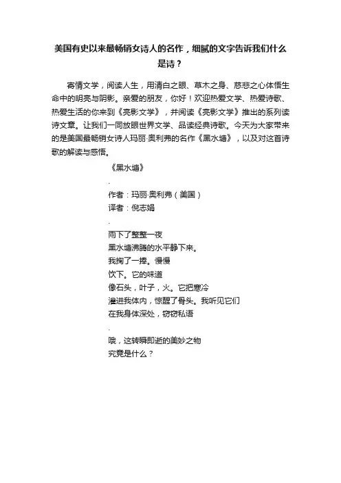美国有史以来最畅销女诗人的名作，细腻的文字告诉我们什么是诗？