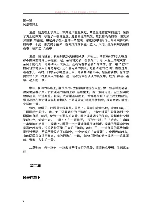 山东聊城中考满分作文三篇风景在路上 (2) (1)