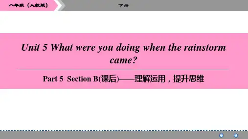 英语八年级下册人教版Unit 5   Part 5  Section B(课后)—理解运用,提升思维
